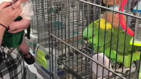 Funny Kids and Animals #5