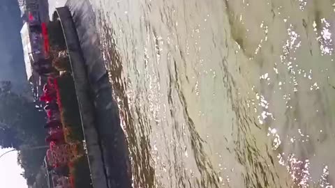 amazing video park 🥰🥰😍