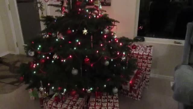 Christmas on Vicki Lane 2020