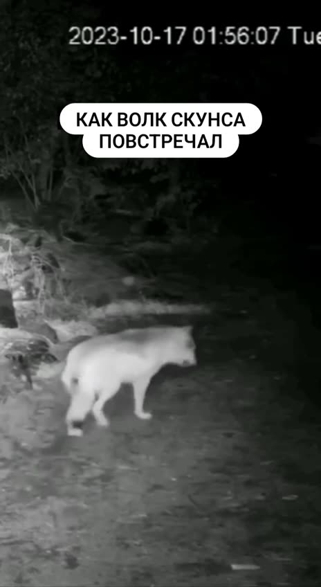 Someone is not allowed back into the den or borough