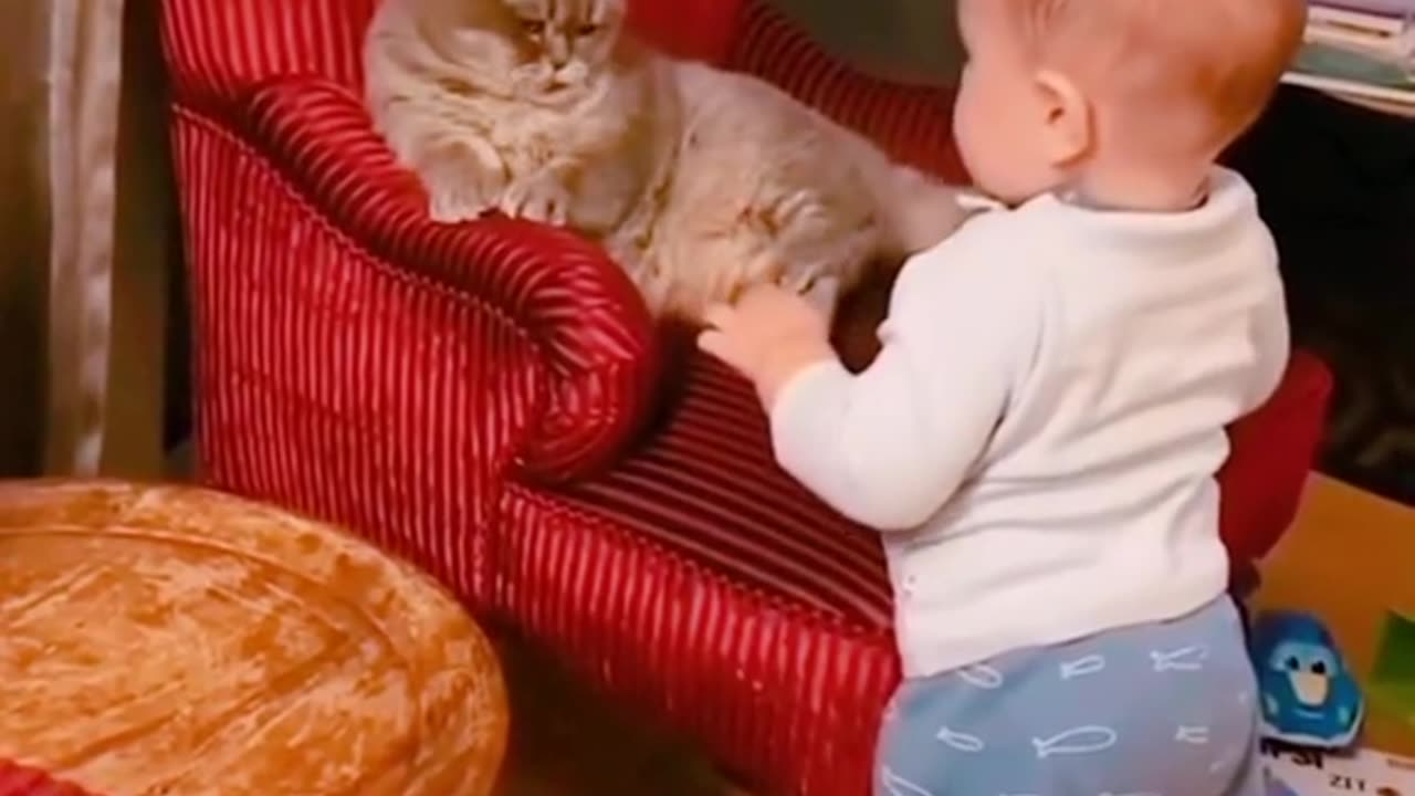 Cute babies vs cute cat Very funny video 🥺😁🤣