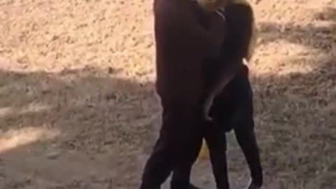 Indian Islamic Guy Brutally Assaults A Woman After Rejecting His Marriage Proposal