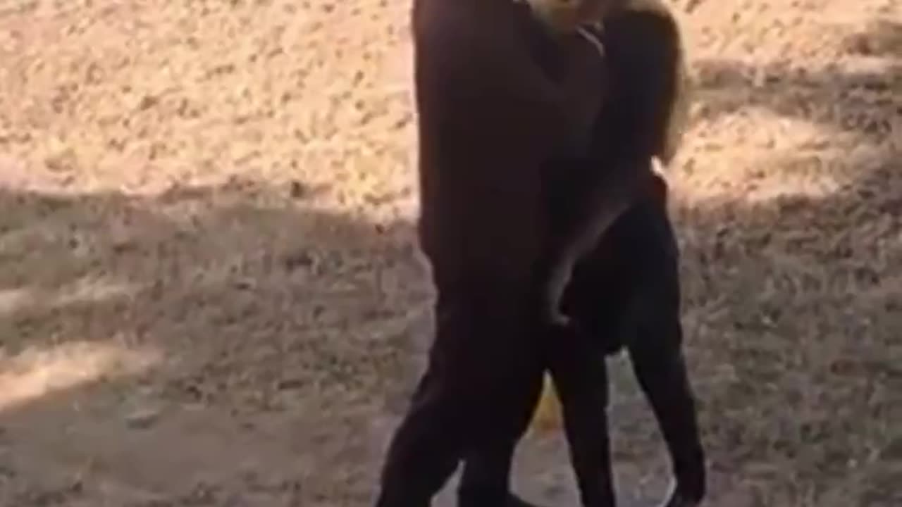 Indian Islamic Guy Brutally Assaults A Woman After Rejecting His Marriage Proposal