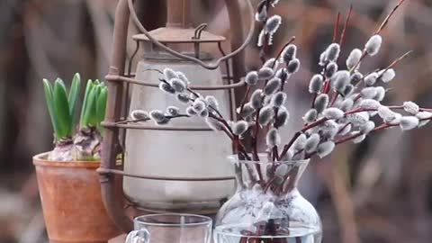 birds living in places natural