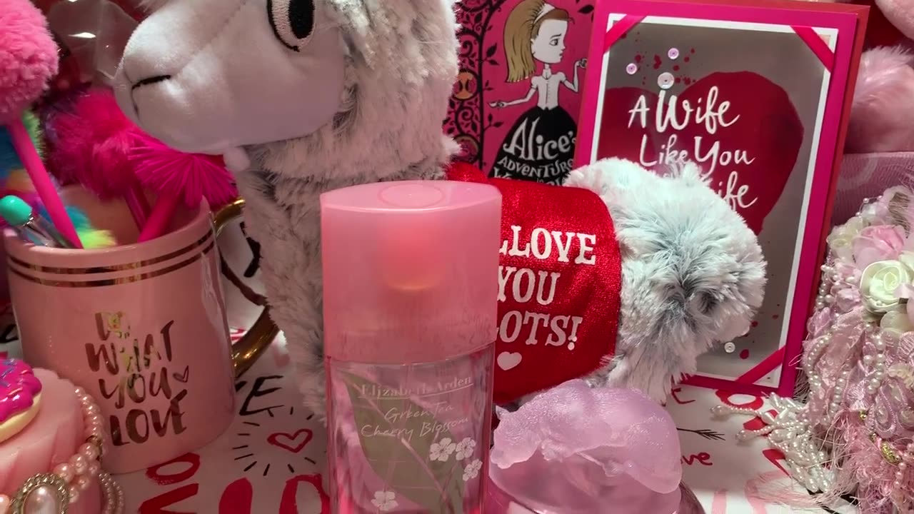 What I got for Valentine's Day 2019 & info on upcoming videos.