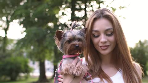 Beautiful Girl Walking With Her Small Dog In The City Park And Using Smartphone.