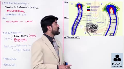 LEC#6 PLATYHELMINTHES (PART-A)