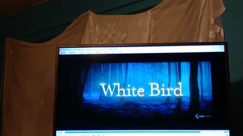 #review, #white bird, 2023, #american, #propoganda, #anti ger