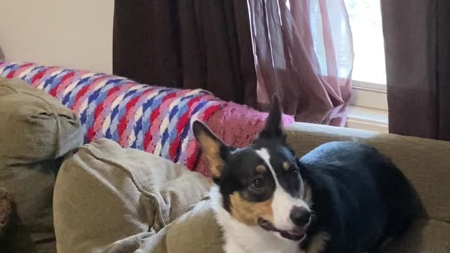 Someone is here, really there is someone here, open the door