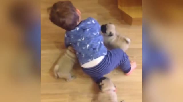 Smart and funny dog 18