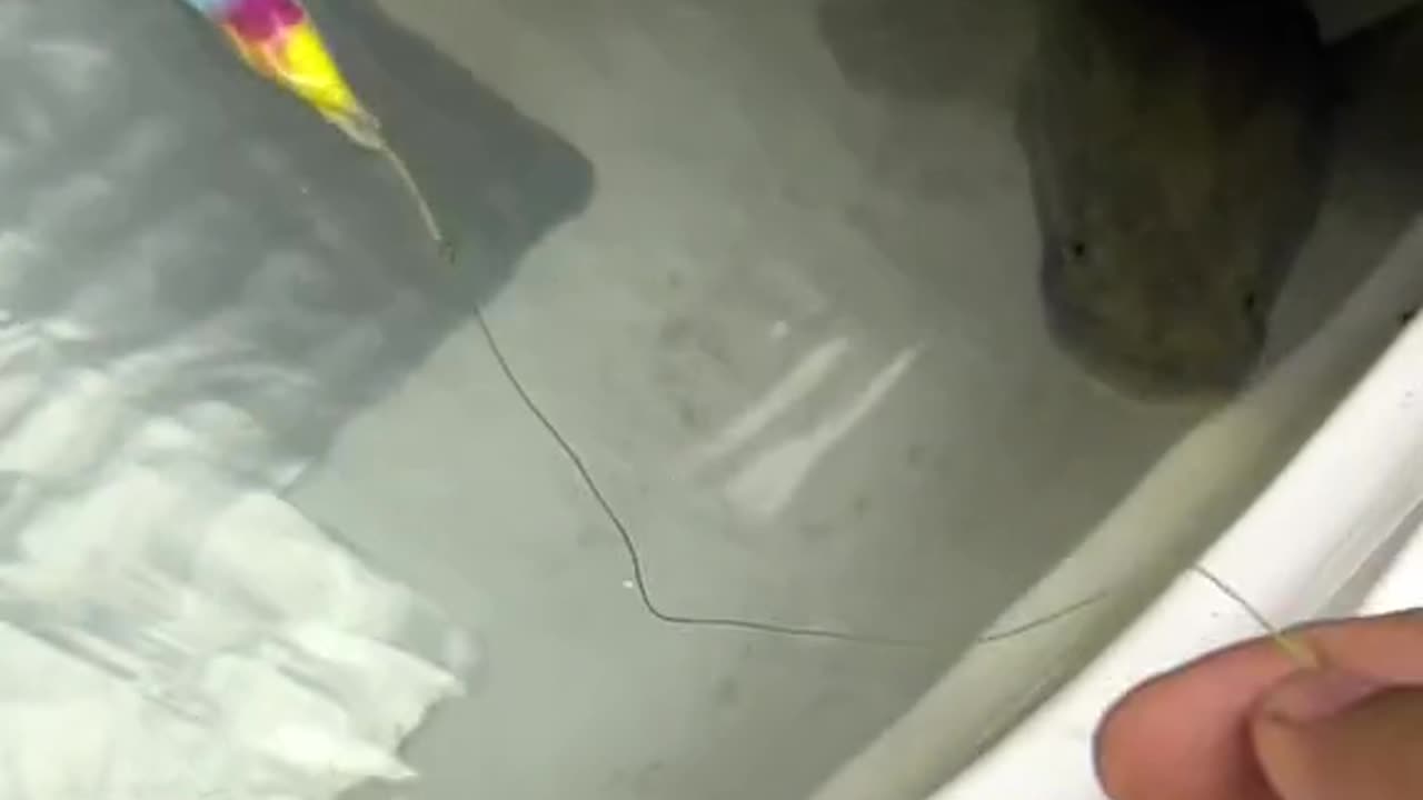 Just smile and be happy😁😁😁😁😁😁😁😅😁😅