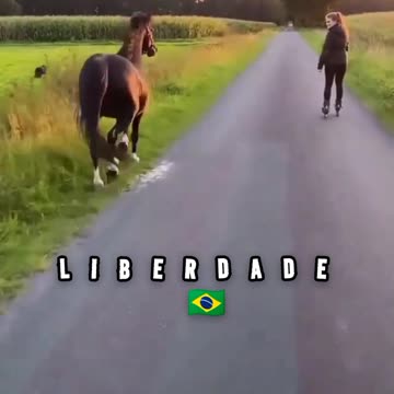 LIBERDADE 🇧🇷🇧🇷🇧🇷🇧🇷 7 DE SETEMBRO NA PAULISTA