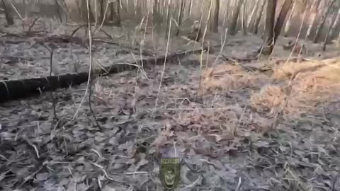 Fighting on the territory of the Russian Federation, Belgorod region, Video from the Ukrainian side.