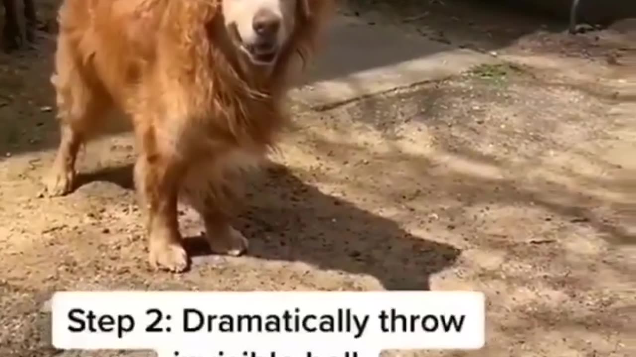 How do you play with them? 🙂