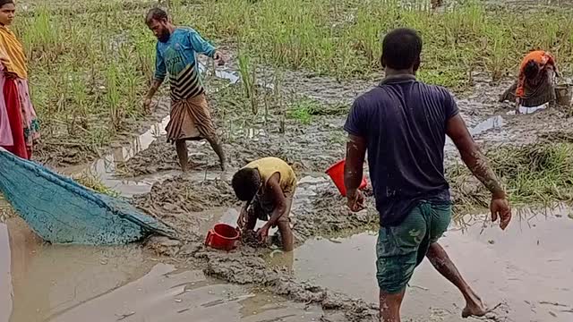 village fishing || Hand fishing vodeo || Fishing vodeo