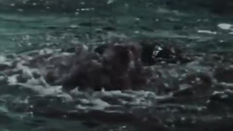 Godzilla Vs Smog Monster Trailer