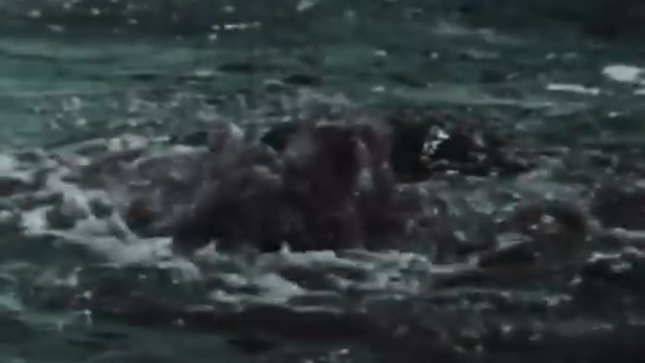 Godzilla Vs Smog Monster Trailer