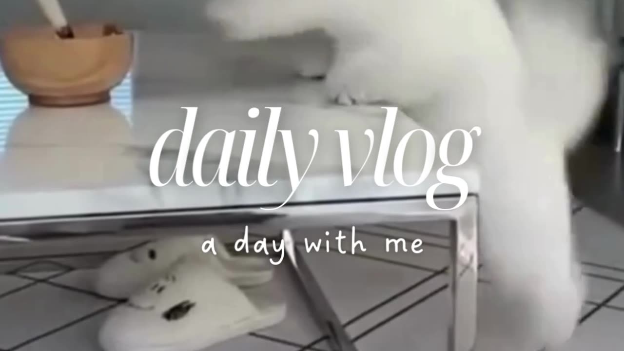 Funny Video