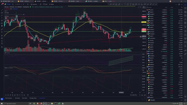 Market Analysis 3/30/2022