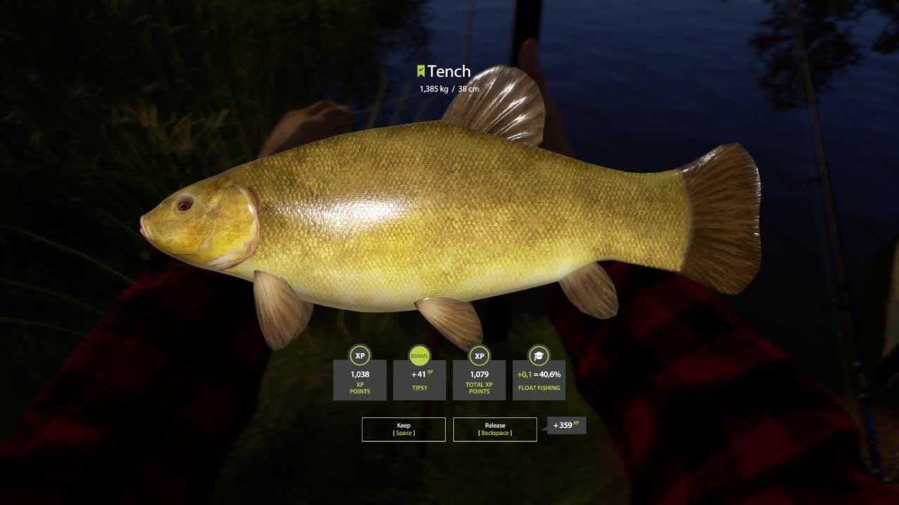 Bonus Tipsy, Tench fish on, Mosquito Lake, Russian Fishing 4 pc game #rf4 #gamingchannel