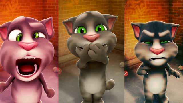 My talking tom cat funny video" talking tom "