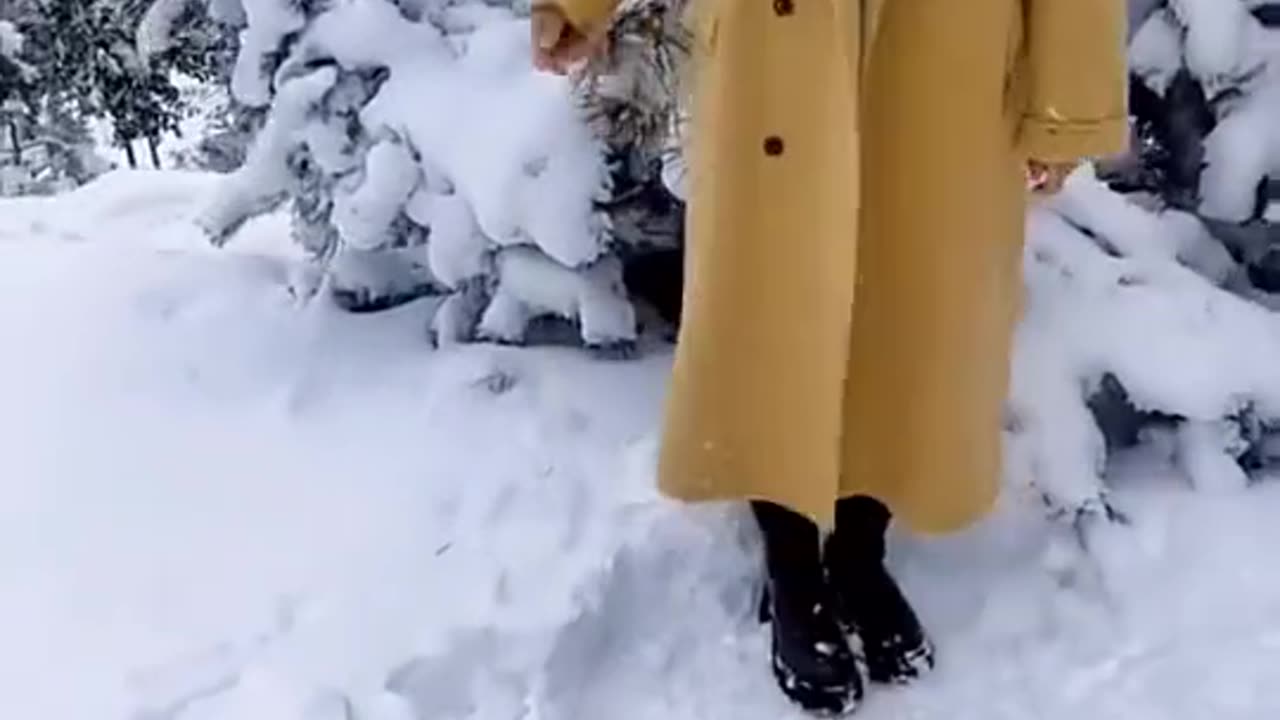 ENJOING IN SNOW FUNNY VIDEOS