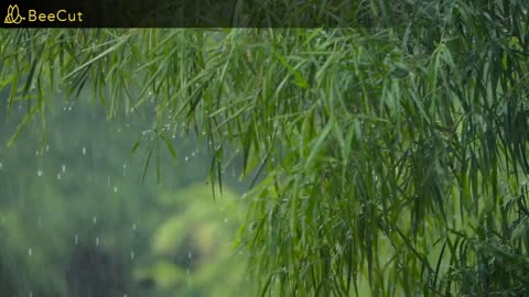 Relaxing Heavy Rain #Relaxing#Meditation#Soothing