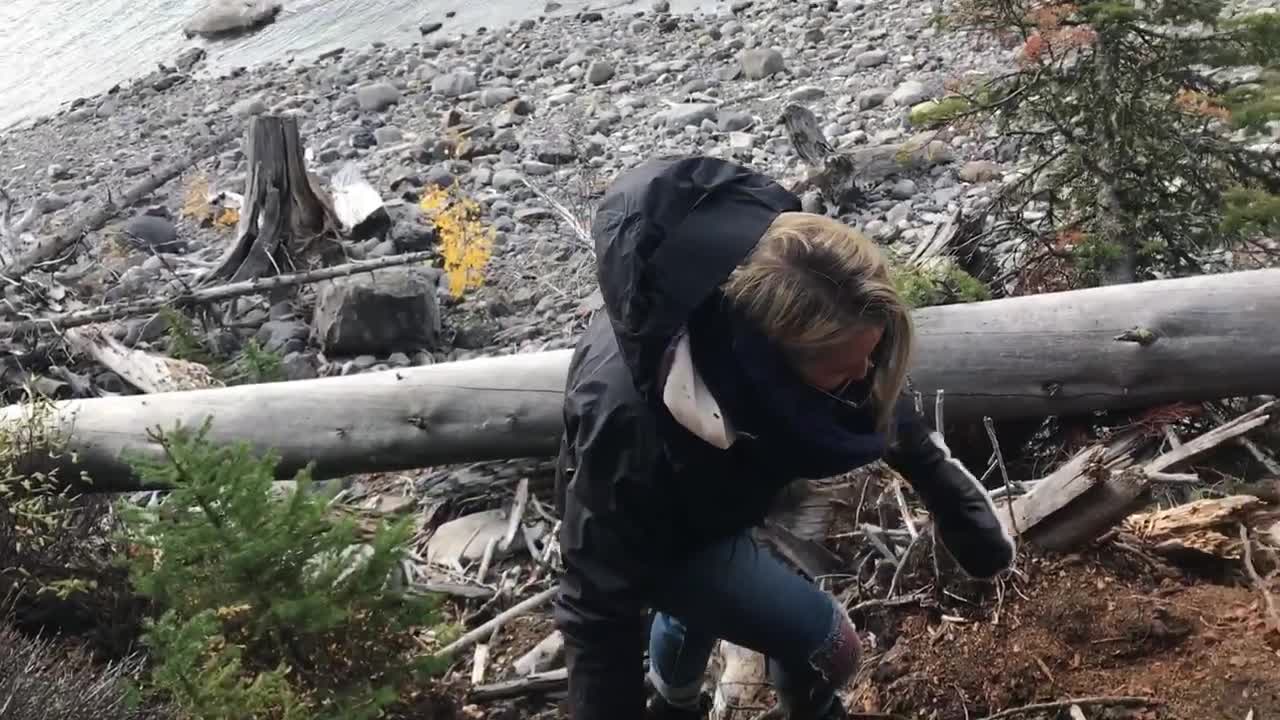 Woman in orange beanie falls off log in forest