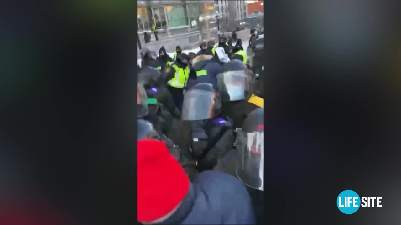 Ottawa Police on horseback trample Freedom Convoy protesters