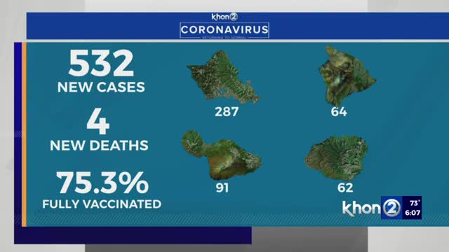 Hawaii reports 532 COVID cases, 4 new deaths