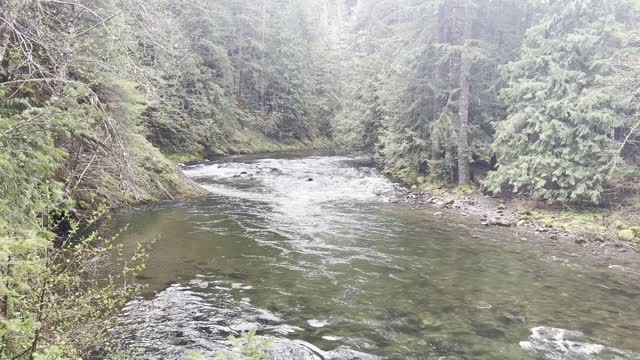 Pristine & Crystal Clear Wild & Scenic Salmon River – Mount Hood – 4K