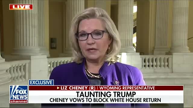 Liz Cheney Hammered in Interview With Brett Baier