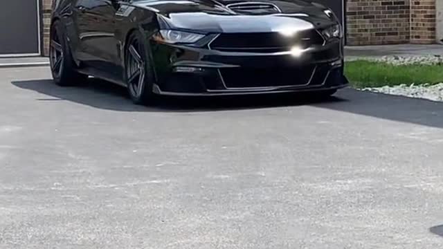 The ford mustang