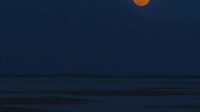 Skyline of a desert with the moon at night