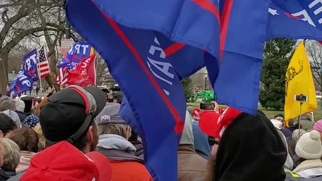 Trump Patriot March DC