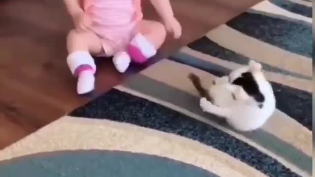 See how this boy is playing with his cat