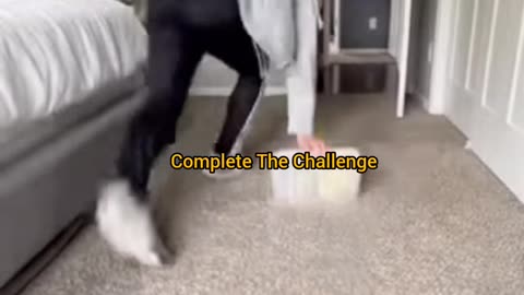 Complete the challenge