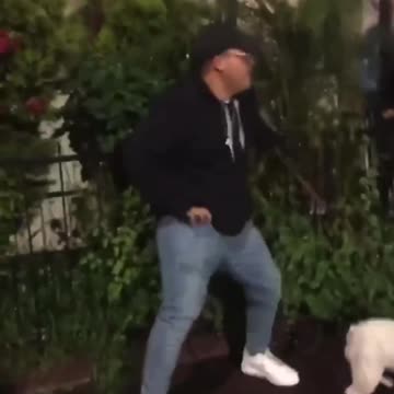 🚨 - BREAKING NEWS