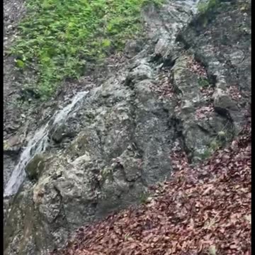 Freedom Cash Geocaching Paper Wallet - Flowing Waters