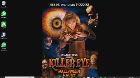 The Killer Eye Halloween Haunt Review