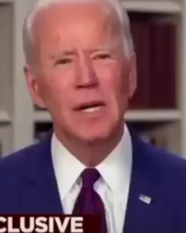 Joe Biden Intercourse