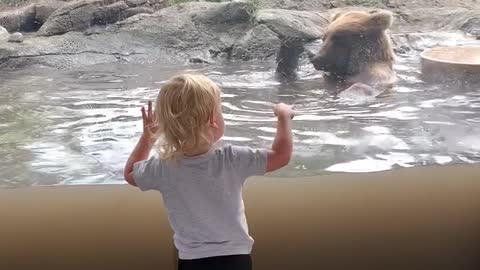 Little Boy Impressed With Bears