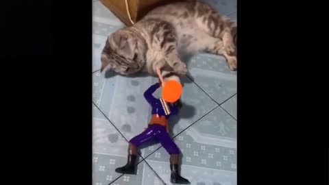 Soldier is attacking cat Part 1