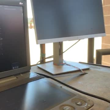 Pregnancy announcement for horse