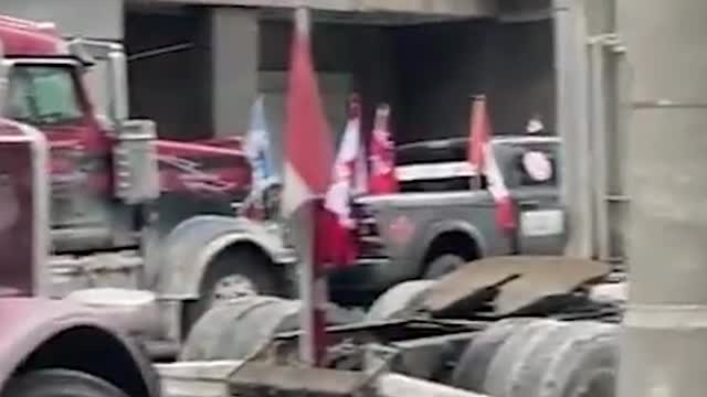 Rebel News