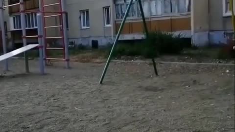 Most funny video I have ever seen