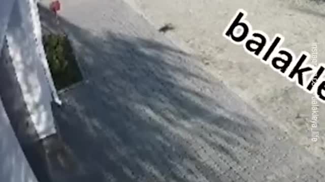 Russians Breaking into House