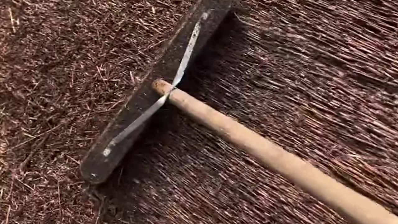 Thatch Roof Explained