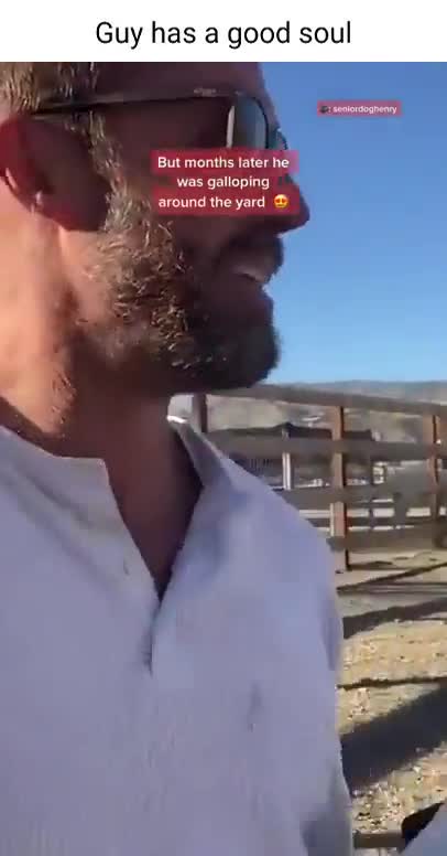 This dog is ready to go