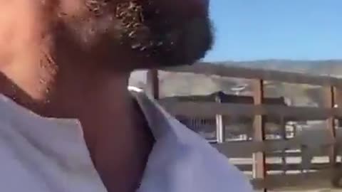 This dog is ready to go